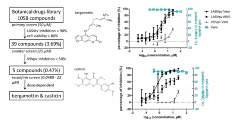 沙粒病毒入侵抑制劑研究獲進展